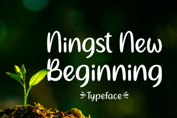 Ningst New Beginning: A Graceful Typeface for Editors