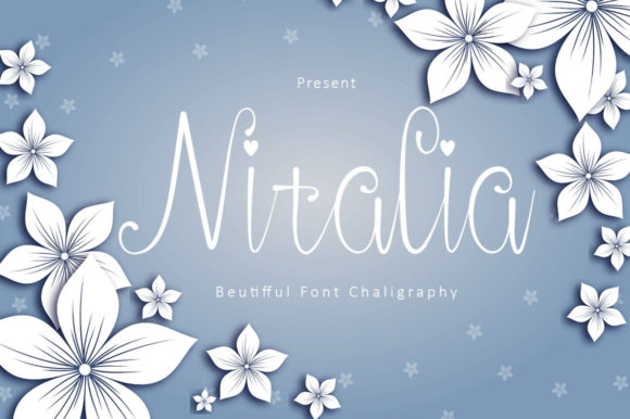 Nitalia Font Review for Web Designers