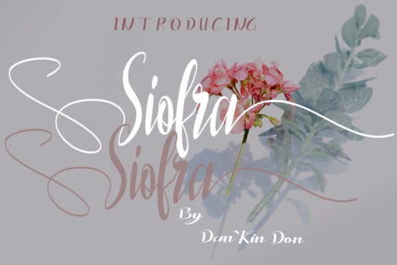 Siofra Typeface Review: Elegant Script for Branding